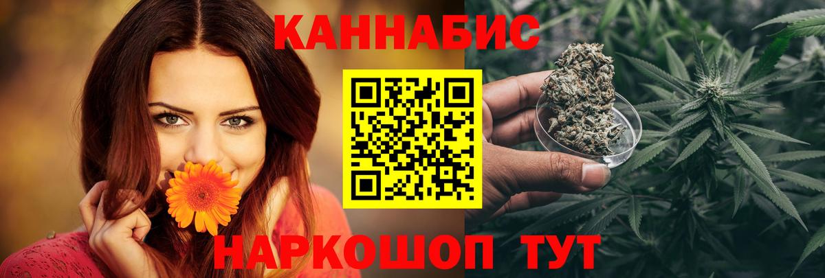 Конопля гибрид Ессентуки